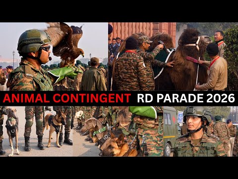 Indian Army's Animal Contingent | Republic Day Parade 2026 | RVC | Contingent Commander Interview