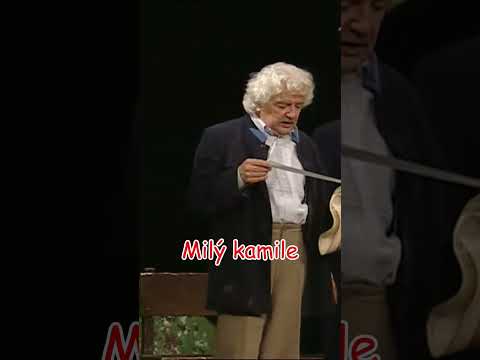 Švestka Divadlo Járy Cimrmana - Hájkovi NASER #djc #smoljak #cimrman