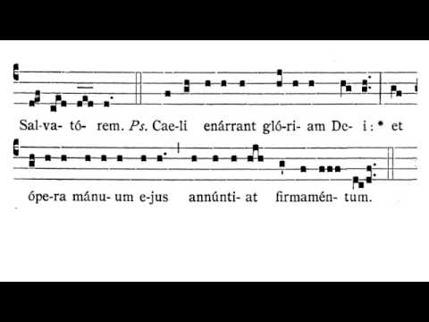 Domica Quarta Adventus - intr. Rorate