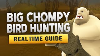 [RS3] Big Chompy Bird Hunting – Realtime Quest Guide