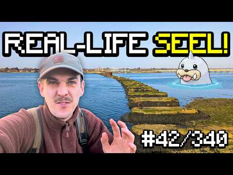 Searching for SEEL in real-life - UK Pokedex