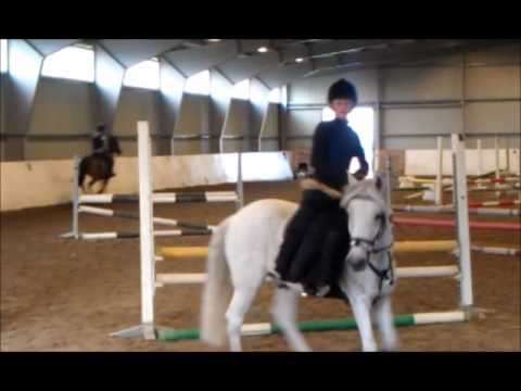 ponni kat. 2 Til salgs!