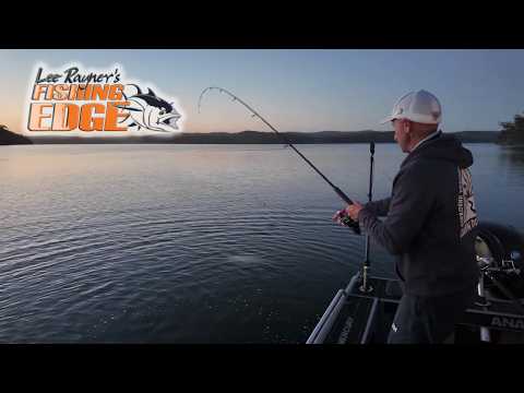 Slow Day Escalates - Mulloway Madness