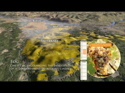 Château Bastor-Lamontagne 3D