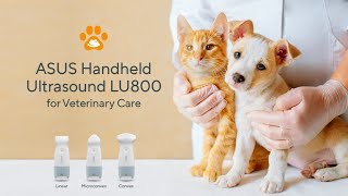Asus Handheld Ultrasound LU800 for Veterinary Care