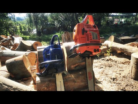 Husqvarna 3120xp & FarmerTec G388 cutting wood (just for fun)