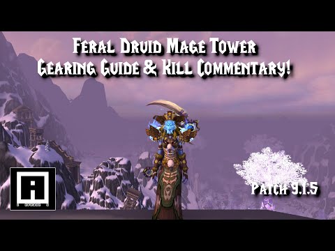 Feral Druid Mage Tower Challenge Guide! Gear Guide and Kill Commentary