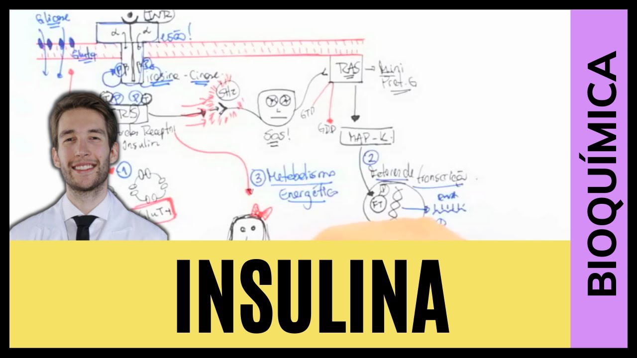 RECEPTOR DE INSULINA - COMO INSULINA AGE NA CÉLULA
