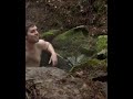Talitha Luke Underwear In Wrong Turn 6 Movie
