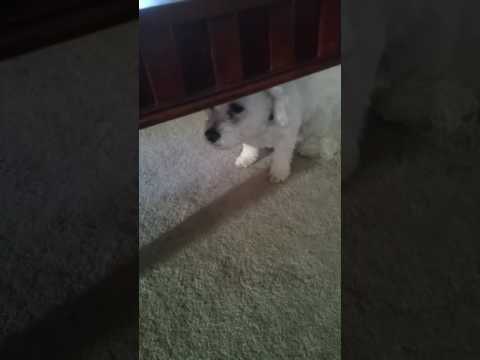 Ella Se Hizo Caquita Afuera y Miren Su Reacción...