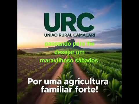 25 de julho de 2026