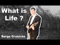 What is Life? (original Børge Grunicke Song) 