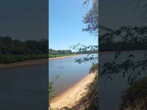 Formoso do Araguaia-Tocantins #formosodoaraguaia#tocantins#professorviniciusagro#agro