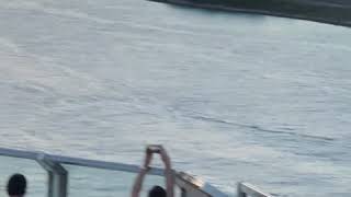 La Pelopony Tik Tak, May 3, 2018