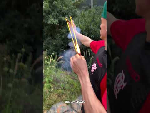 BLOWING UP A WASPS NEST WITH A FIRECRACKER