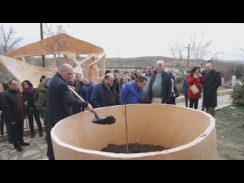 Olmeda wants to rise like Guernica and already has a shoot of the symbolic tree