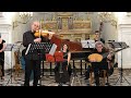 Antonio Vivaldi – Concerto for Viola d'amore and Lute in D minor RV 540, Arianna Art Ensemble