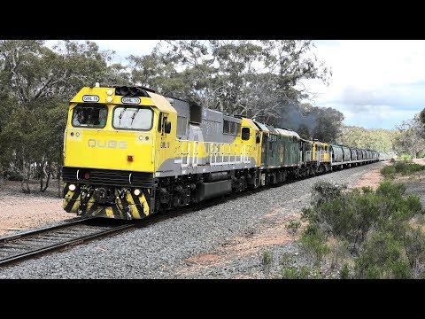GML10-8044-872-864 on 7961V arrive at Dunolly to load canola for Cargills Newcastle.  04-11-19.
