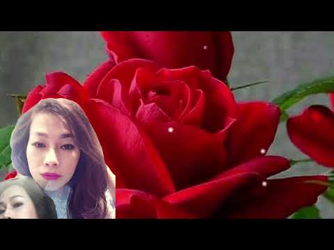 Thể hiện bởi Minh Phương