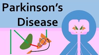 Parkinson's Disease and the Basal Ganglia