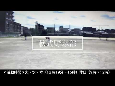 OSU軟式野球部紹介