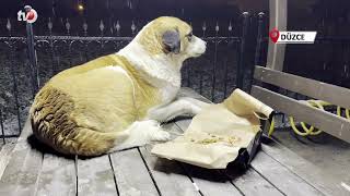 Gazetecilerden Duyarlı Davranış