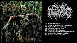 𝐂𝐚𝐫𝐧𝐚𝐥 𝐃𝐢𝐬𝐟𝐢𝐠𝐮𝐫𝐞𝐦𝐞𝐧𝐭 - 𝐈𝐧𝐡𝐮𝐦𝐚𝐧 𝐃𝐞𝐯𝐨𝐮𝐫𝐞𝐝 𝐂𝐨𝐧𝐭𝐞𝐧𝐭 𝐅𝐫𝐨𝐦 𝐂𝐫𝐚𝐧𝐢𝐚𝐥 𝐂𝐚𝐯𝐢𝐭𝐲 𝟐𝟎𝟏𝟏