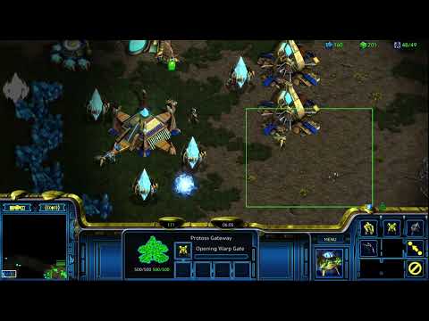 White-Ra [P] vs 2v2gogo [P] FP VOD - November 04 2025 - PvP on Polypoid [HD]