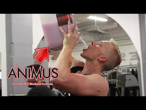 Workout like you mean it and have fun while doing it