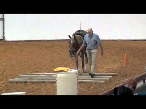 2012 Supreme Extreme Mustang Makeover Preliminary Rounds