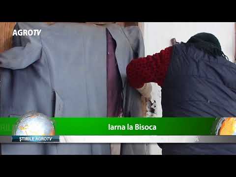 Iarna la bisoca - 1.03.2018