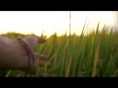 Por onde me conduzir - Pastor Severino Fernandes