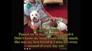 WIMC Where Angels Sing