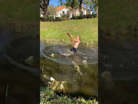 catching a HUGE iguana!!!