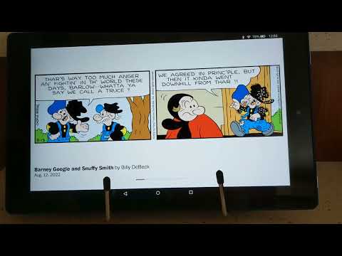 The Washington Post Comic Strips