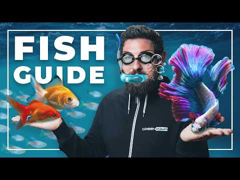 How to CHOOSE the PERFECT FISH for Your Aquarium
