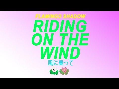 Flamingo Shadow - Riding on the Wind
