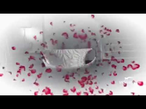 Stephen Simmonds - Where Is My Love