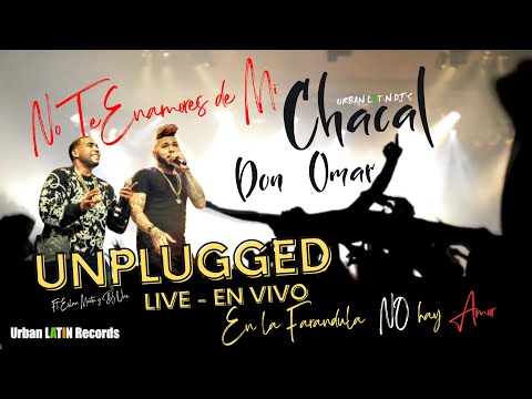 CHACAL ❌ DON OMAR - No te enamores de mi (Unplugged en vivo) En la Farandula NO hay AMOR