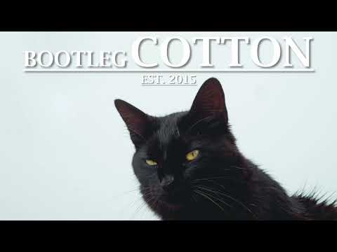 Rithma - Sweet Maureen [Fiji Recordings]