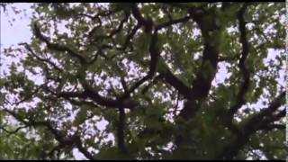 Waking the dead season 7 episode 3 Sins  Part 1