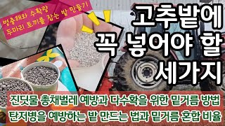 고추밭에 꼭 넣어야 할 세가지 - 진딧물 총채벌레 탄저병을 예방하는 고추밭 만드는 법. 밑거름 혼합비율