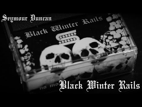 Seymour Duncan Black Winter Rails | Pickups of Sonic Destruction