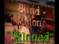Blind Melon - Skinned (Live 1995)