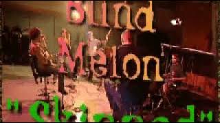 Blind Melon - Skinned (Live 1995)