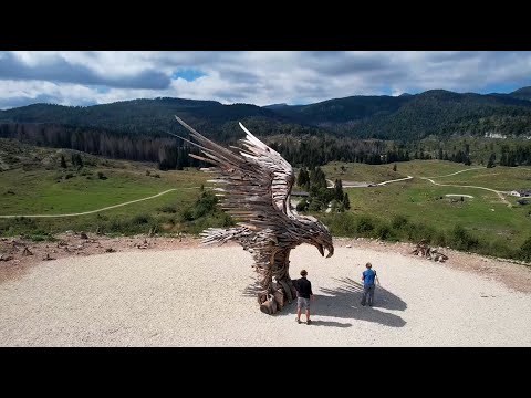 DRONE DAY "DALLA TEMPESTA ALL'ARTE DI VAIA" - 28 E 29 OTTOBRE 2023