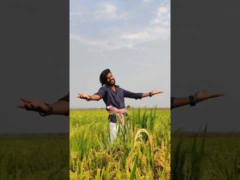 Nan putnanja 🌾 #ravichandran #oyedancer #youtubeshorts