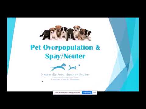 Pet Overpopulation & Spay/Neuter
