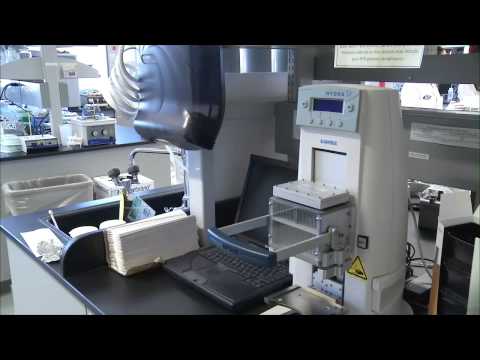 Genomic Research Project Could Benefit Health of Arizona Citizens