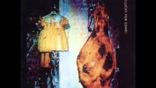 IN CAMERA   final achievement